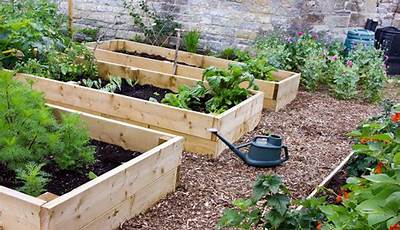 Raised Garden Bed Vegetable Layout