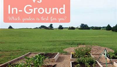 Raised Garden Bed Vs In Ground