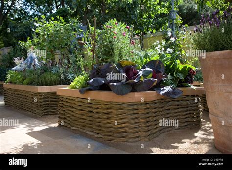 Raised Bed Around Willow Tree