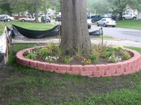 Raised Bed Tree Ring