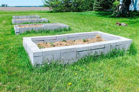 Raised Beds Concrete Blocks