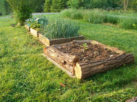 Raised Beds Using Logs