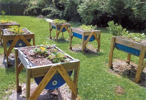 Raised Garden Using Barrels