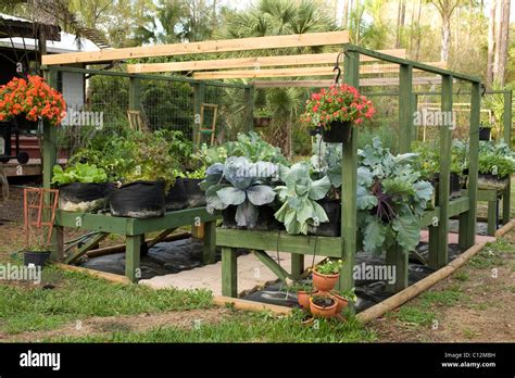 Raised Platform Garden