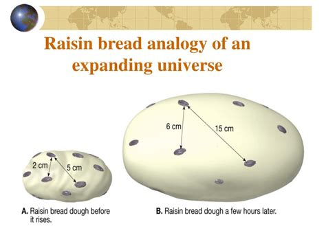 Raisin Bread Expanding