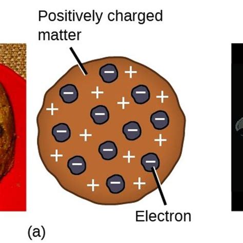 Raisin Bread Model Definition