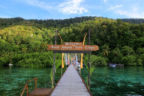 raja ampat island accommodations best deals