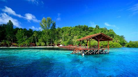 raja ampat island accommodations reviews