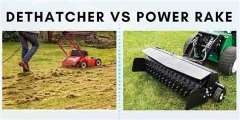 Rake Vs Dethatcher