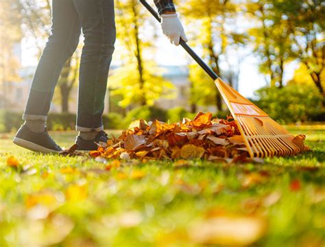 Raking Leaves Is An Example Of
