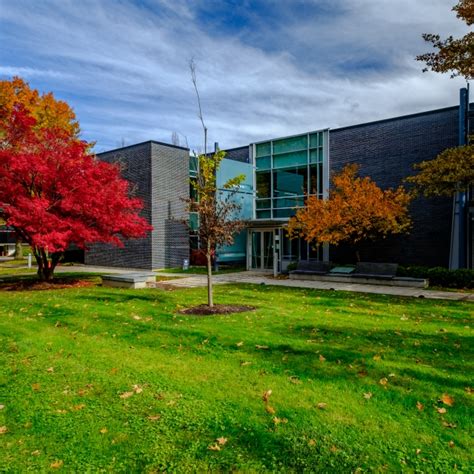 rakow library corning