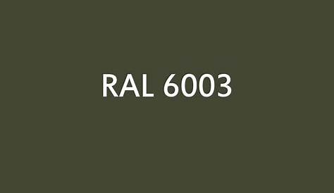 Ral 6003 Vert Olive PEINTURE RAL Aérosol 400 ML Belton