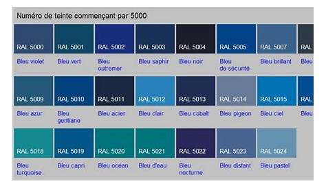 RAL 5002 spray bleu marine AGZ000034188 Agrizone