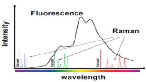 Raman Spectroscopy Vs Fluorescence