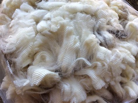 rambouillet wool