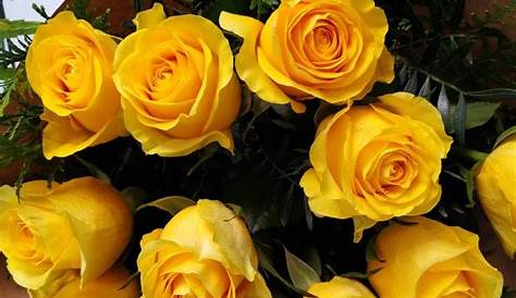 Ramo de rosas amarillas Yellow Bouquets, Begonia, Yellow Roses, Pastel