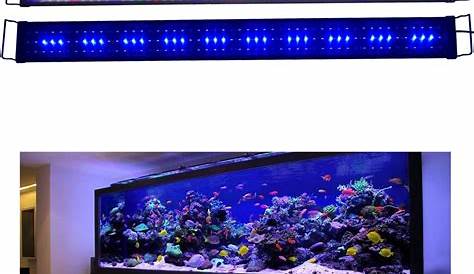 Rampe Led Aquarium 150 Cm AQUAVIE Lumivie LED Premium Full LEDS Haute
