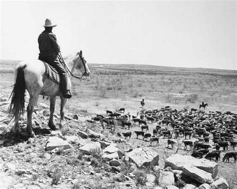 ranchers in the 1800s