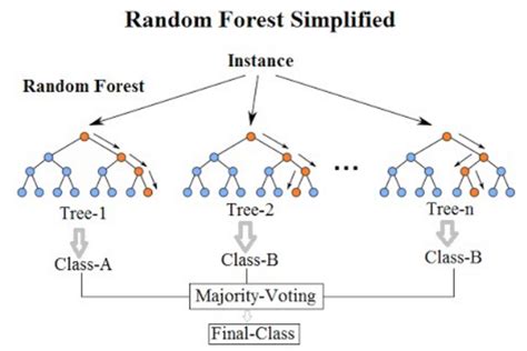 random forest classifier in machine learning definition