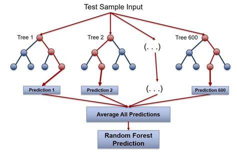 Visualization of Random Forest