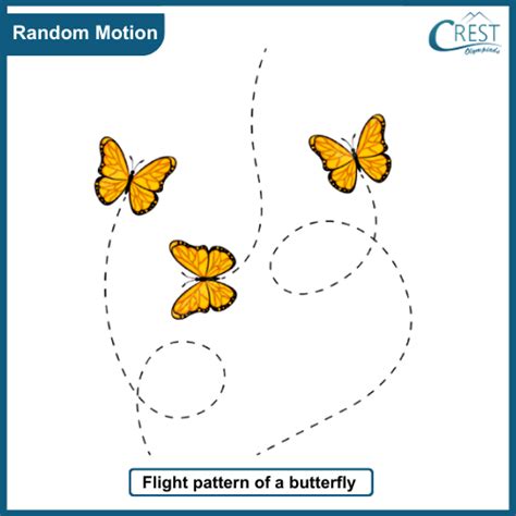 random motion meaning in marathi with example