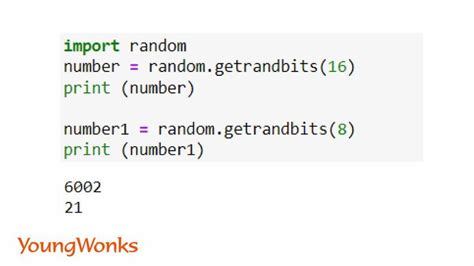 random number function in python