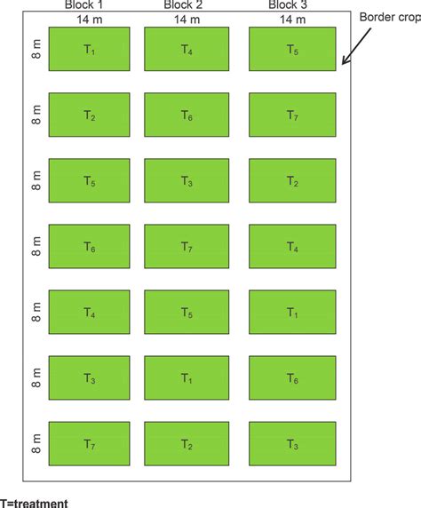 randomized complete block design example