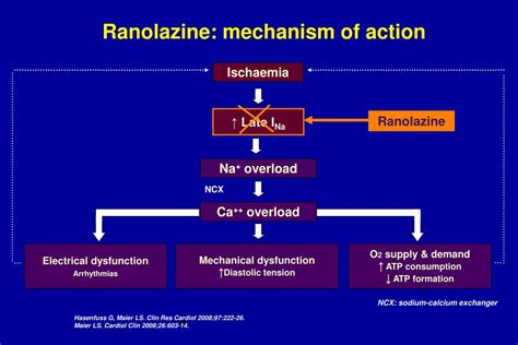 Ranexa Drug Class: Unlocking Treatment for Chronic Angina Patients