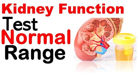 Range Kidney Function