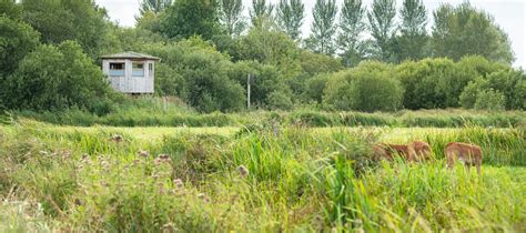 Range Near Lowestoft