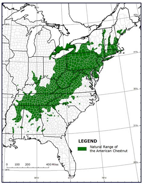Range Of American Chestnut