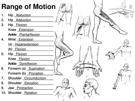 Range Of Motion List