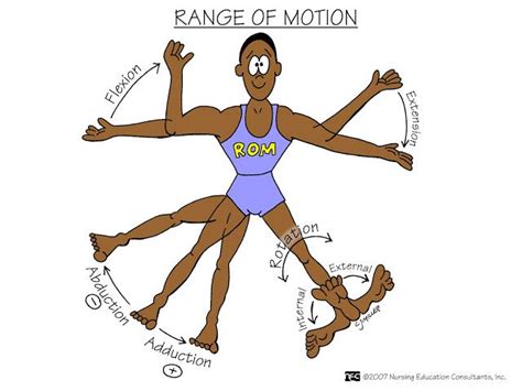 Range Of Motion Nursing