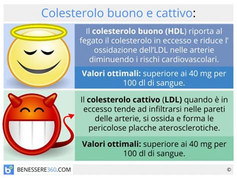 rapporto colesterolo ldl e hdl