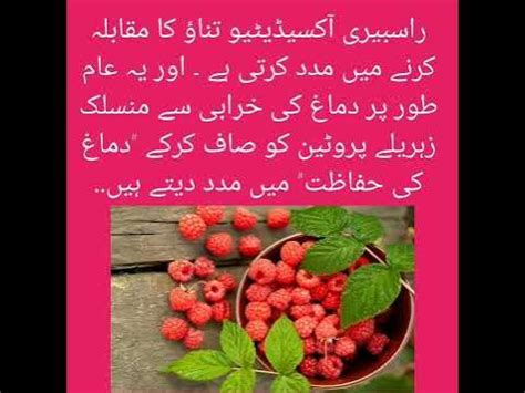 Raspberry Benefits In Urdu