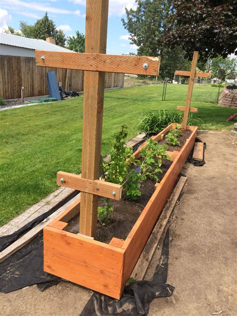 Raspberry Bush Planter Box
