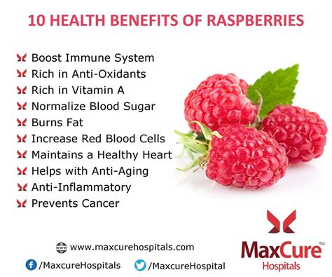 Raspberry Diet Benefits