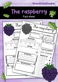 Raspberry Fact Sheet