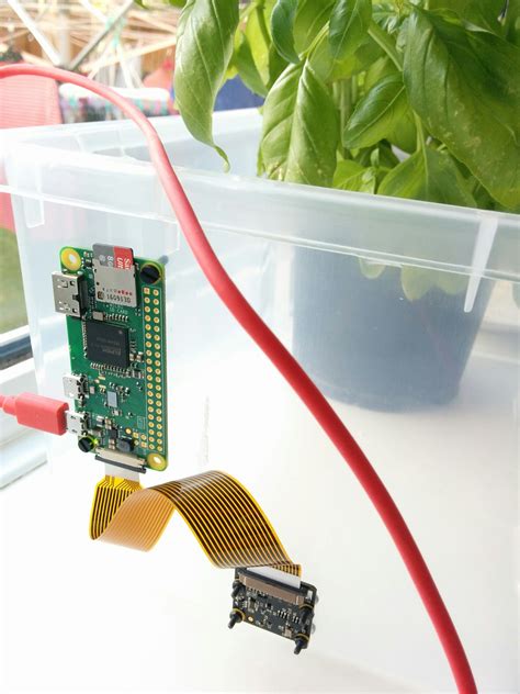 Raspberry Grow Box