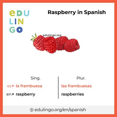 Raspberry In Spanish Please