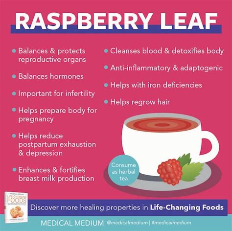 Raspberry Leaf Benefits And Side Effects
