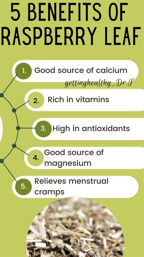 Raspberry Leaf Benefits For Skin