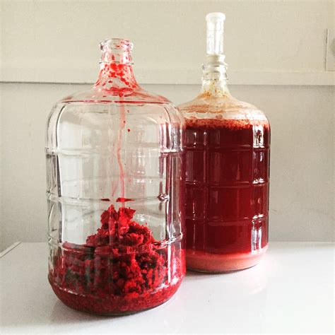 Raspberry Mead