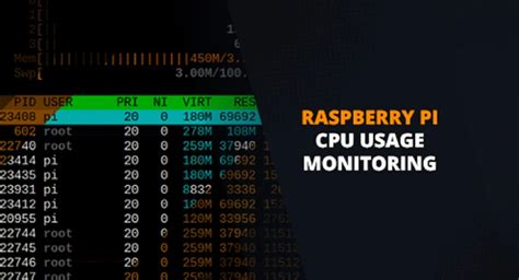 Raspberry Pi CPU and Memory Usage Monitoring