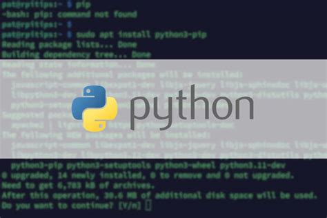 raspberry pi pip command not found