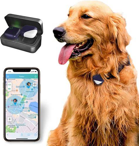 Rastreador Gps Inteligente Para Perro 2g Aplicación Control Mercado Libre
