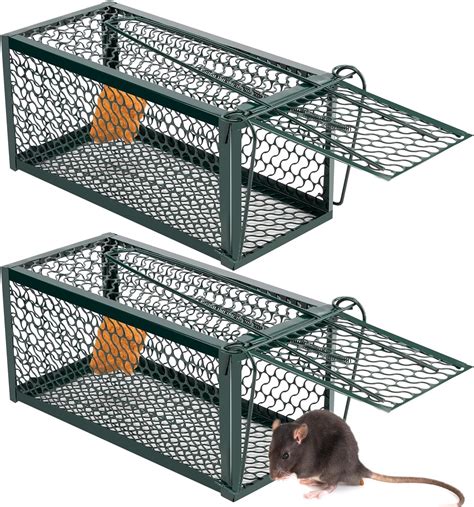 Rat Cage Trap Door