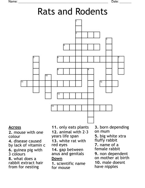 rat crossword