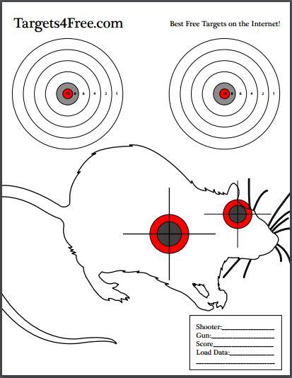 Rat Target Printable