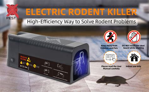 Rat Trap Killing Rat